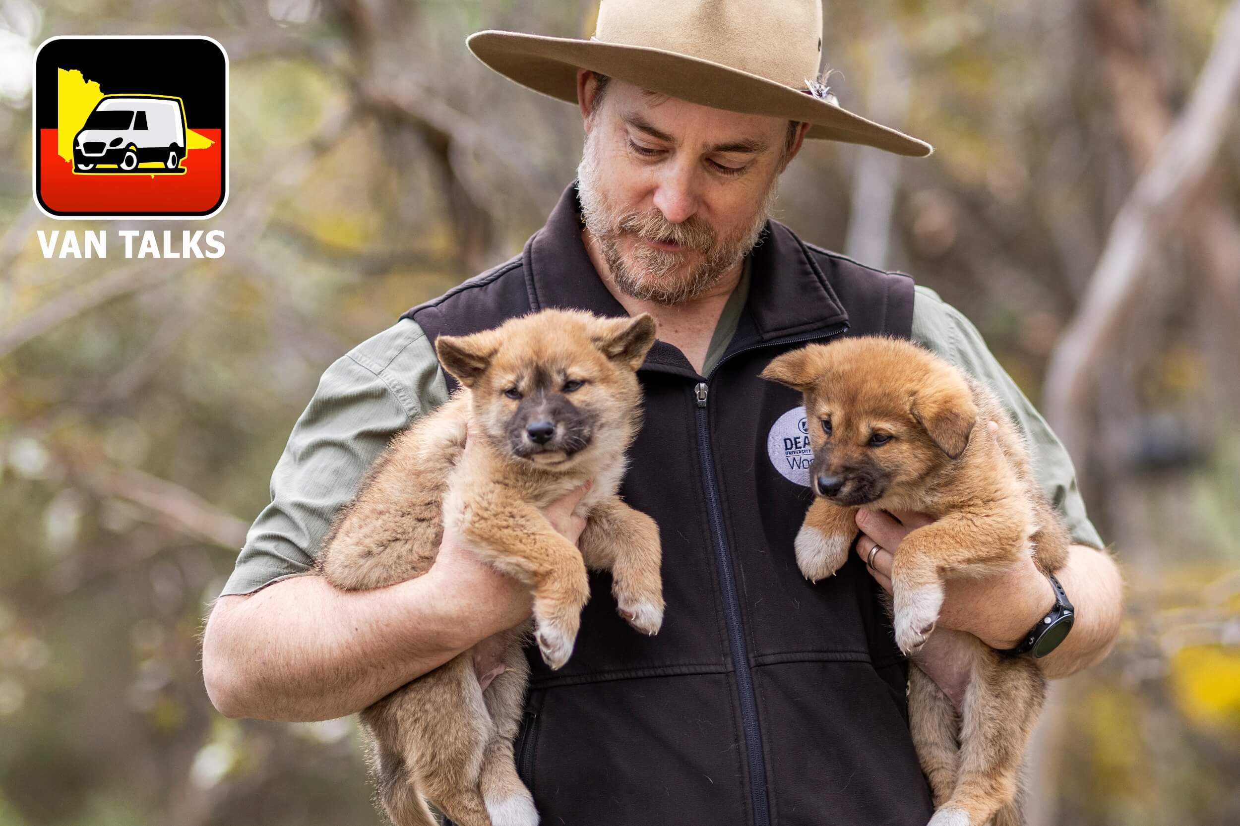 The science and facts supporting the need to protect Victorian dingo populations