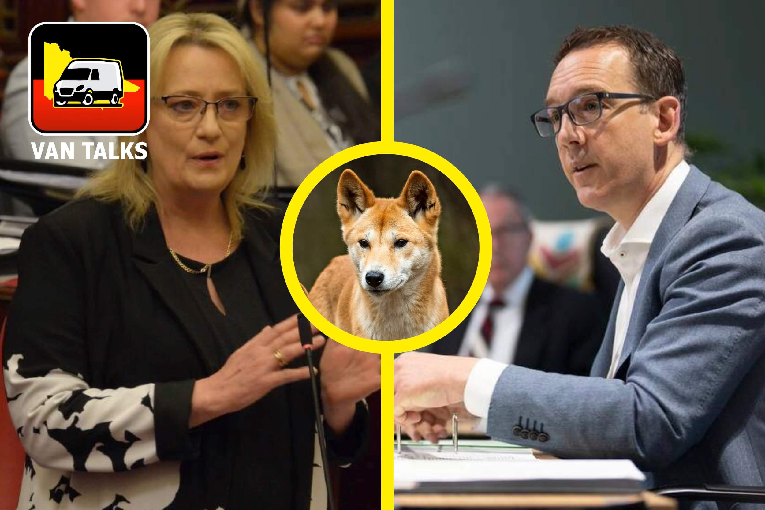 Ministers Dimopoulos and Spence remaining silent on the questionable motivation leading to the dingo “death warrant”