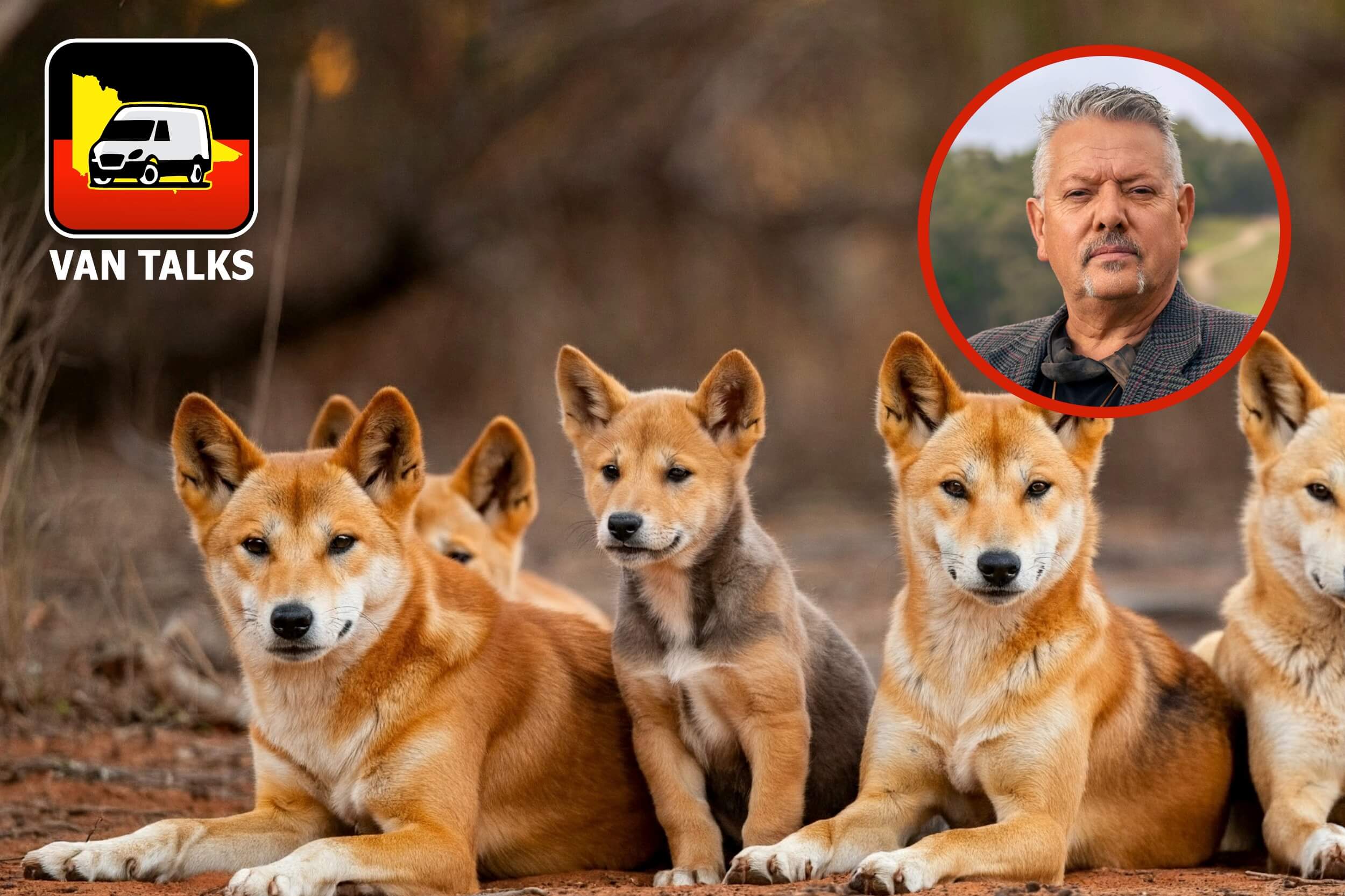 Despite spiritual connection, Dja Dja Wurrung barely considered in Victorian Government’s dingo “planning”